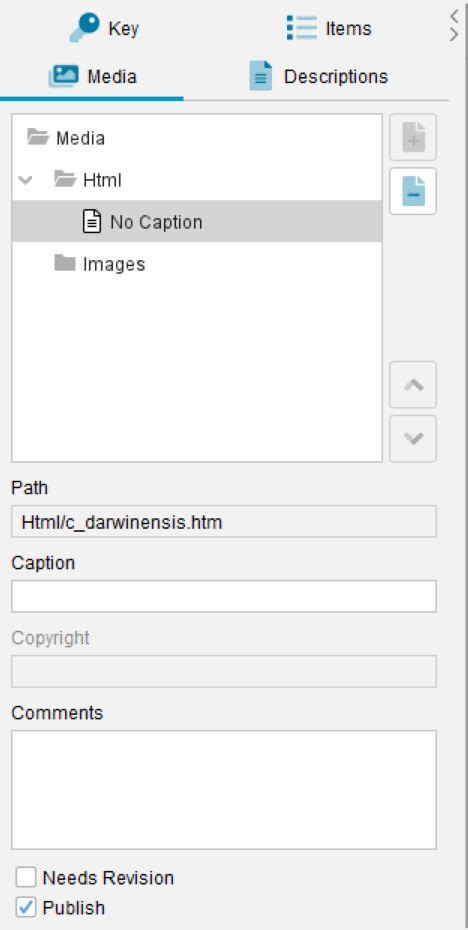 Image result for Lucid Press Tutorial