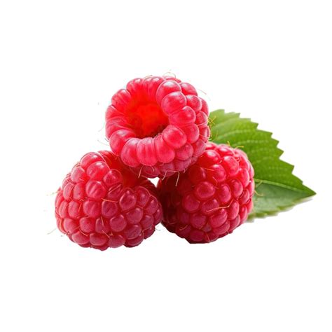 Image result for Raspberry Pi OS Lite Ffplay