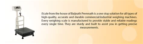 iScale ISP-100M Electronic Platform Weighing Scale 400x400mm Mild Steel ...