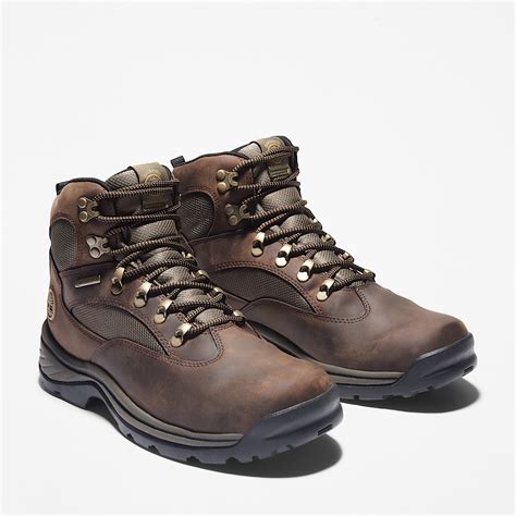 Chocorua Waterproof Hiking Boot for Men in Brown