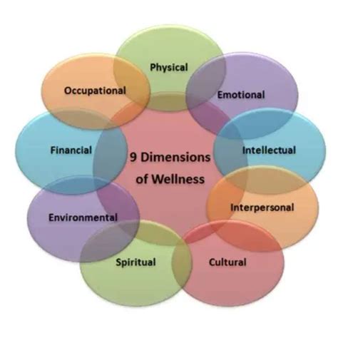 9 Dimensions of Well-Being | Health Education & Prevention | CSU Pueblo
