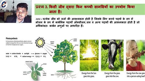 Image result for Class 10 Science Life Process NCERT Tutorial