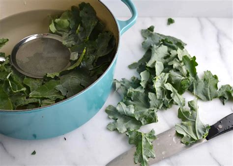 How to Freeze Kale | Preserving Kale - Boxwood Ave.
