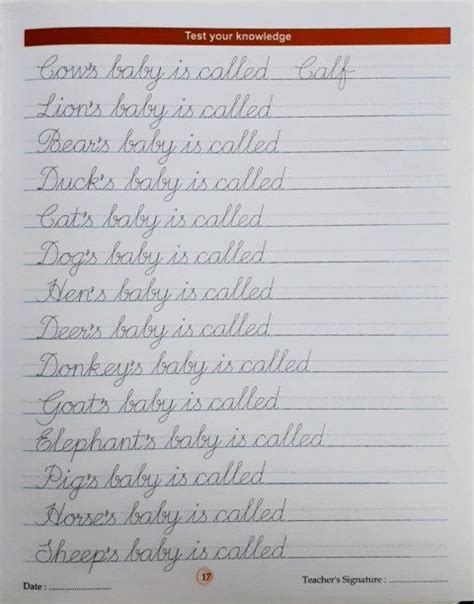 Cursive Writing Book-5 – Books and You