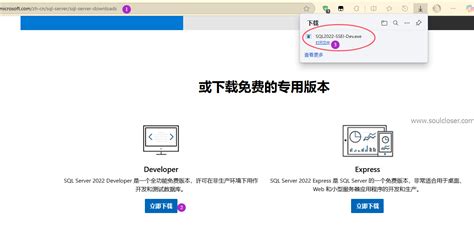 Image result for SQL Server 2022 Windows 1.0