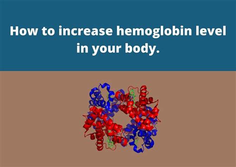 How To Increase Hemoglobin Level In Your Body In 2022 » My Vision Of Health