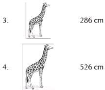 Direction: Read the table given below and answer the questions :How ...