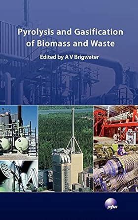 Buy Pyrolysis and Gasification of Biomass and Waste Book Online at Low ...