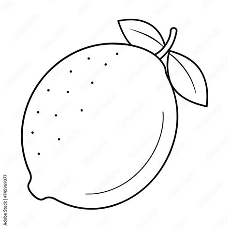 Image result for Lemon Drawing Colored