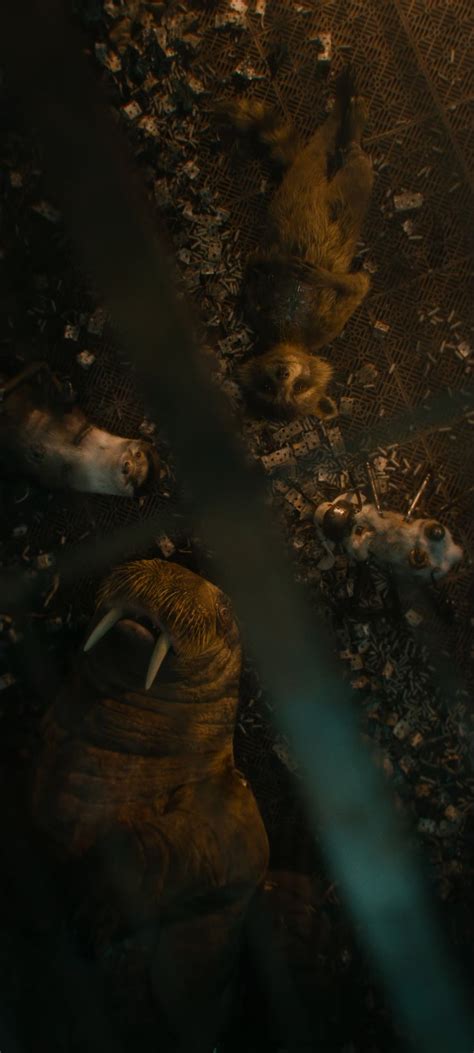 Rocket, Lylla, Teefs and Floor wallpaper | Guardiões da galáxia, Planos ...