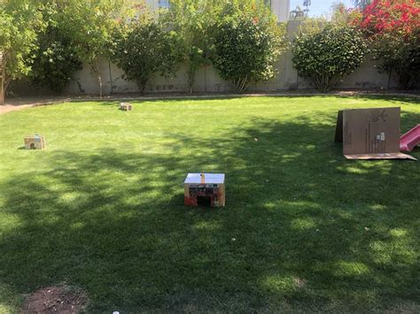 Image result for How to Build a Mini Golf Course