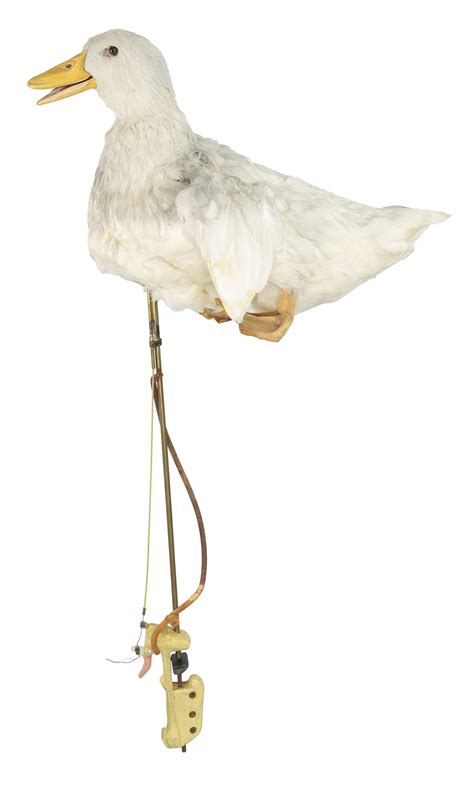 Animatronic Duck Puppet From Doctor Dolittle 1967 | Desertcart INDIA