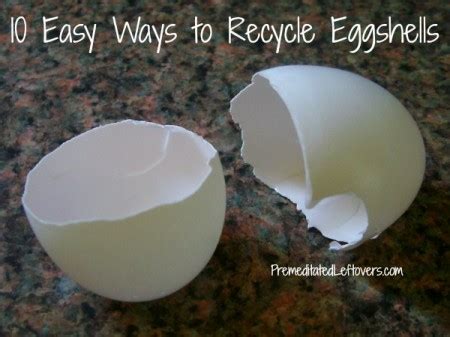 Image result for Egg Shell Recycle