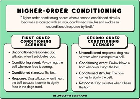 Image result for Second Order Pavlovian Conditioning Examples