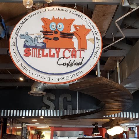 SMELLY CAT COFFEEHOUSE & ROASTERY, Charlotte - Restaurant Reviews ...