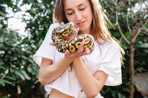 Image result for How to Make Love in Python