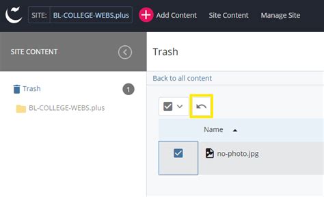 Image result for Window Restore Button