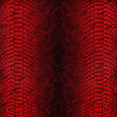 Image result for Bold Python Snake