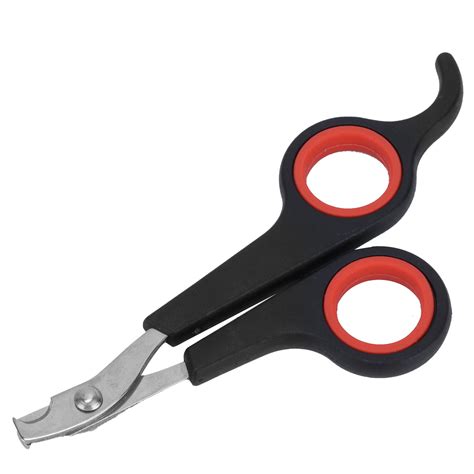 Anti-Rust Bird Nail Clipper, Lightweight Design for Safe & Easy ...