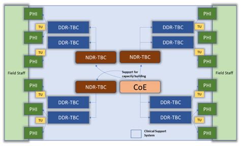 Proposed Components of CoE program