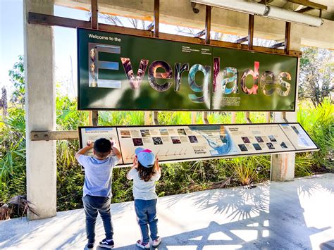 32 Best Things to do in Miami with Kids - Fernandez Family Adventures