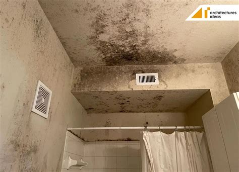 Types Of Mold On Bathroom Ceiling