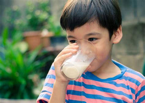 Milk - 1-minute Survey | Britannica