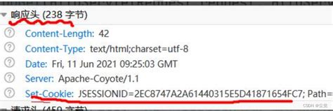 Java Session 的图像结果