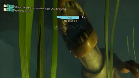 Eelgrass Strand Grounded