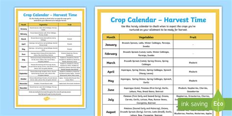 Harvest Time Crop Calendar (teacher made) - Twinkl