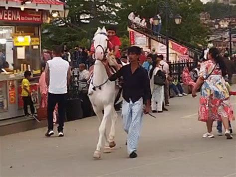 Heatwave grips Himachal as temperature rises by five degree celsius ...