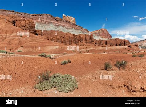 Image result for Examples of Machine Learning Applications