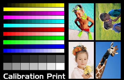Image result for Color Management CS6 Tutorial
