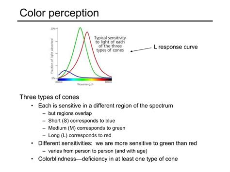 Image result for Light Image for Computer Vision