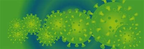 Understanding zoonotic diseases: ‘Humans are changing disease ecosystem’