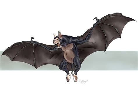 Image result for Bat Jobs in Java