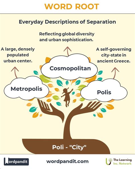 Image result for Poli Root Word Examples