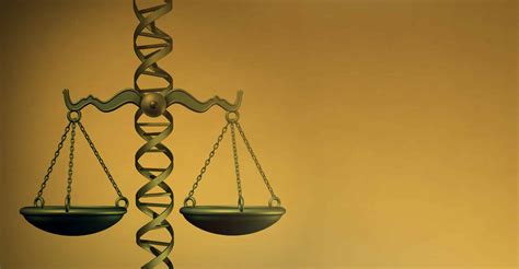 Image result for Scope of Bioethics