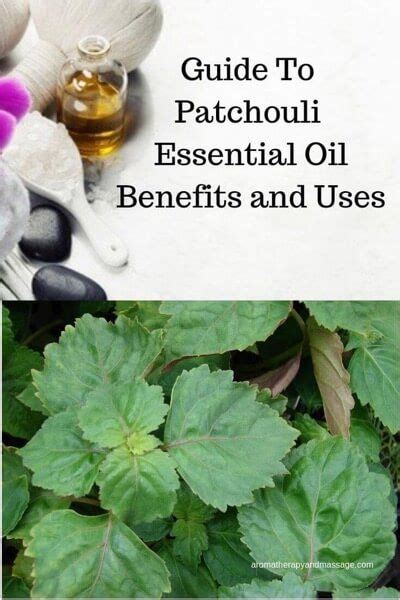 patchouli aromatherapy benefits