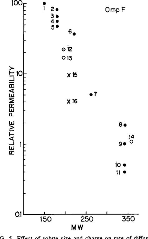 Cell Membrane Permeability | Semantic Scholar