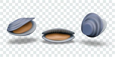 Rezultat imagine pentru Web Design Positions