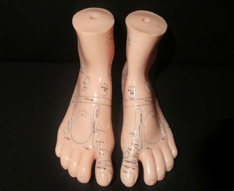 18cm Human Feet Acupuncture Massage Model - Anatomical Medical Foot Anatomy | eBay