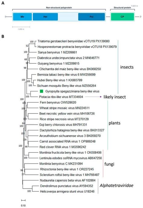 Pathogens | An Open Access Journal from MDPI