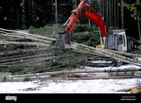 Image result for Backhoe Loading Logs