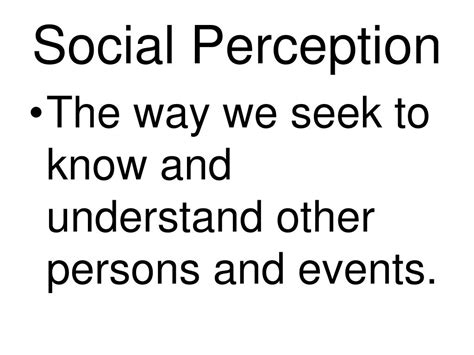 Social Perception Example 的图像结果