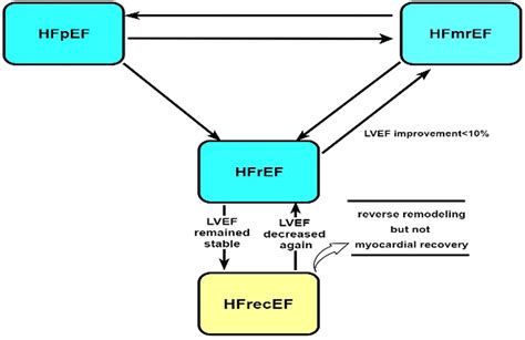 Heart failure with recovered ejection fraction: Current understanding and future prospects - The ... - what is ejection fraction