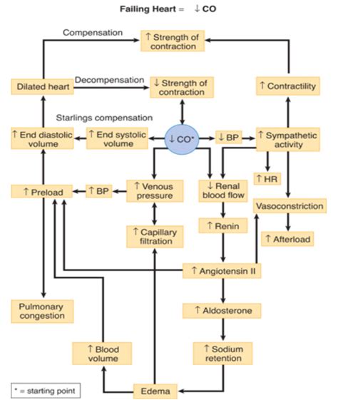 Image result for Heart Failer Compensatory Processes