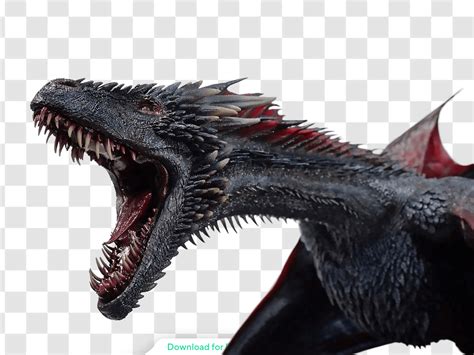 Drogon Game Of Thrones Fierce Dragon Free PNG - PNGate