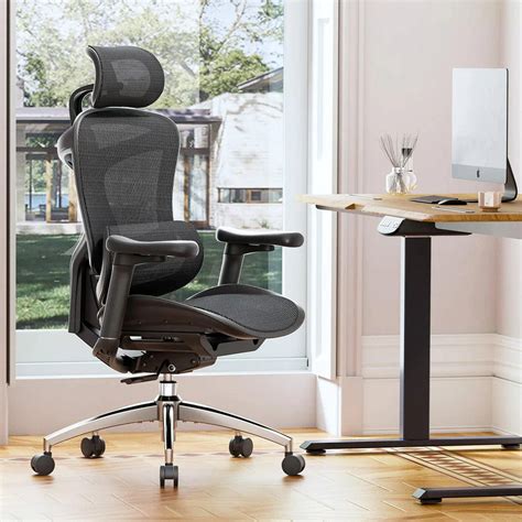Sihoo Doro C300 Advanced Ergonomic Office Chair with Advanced Back ...