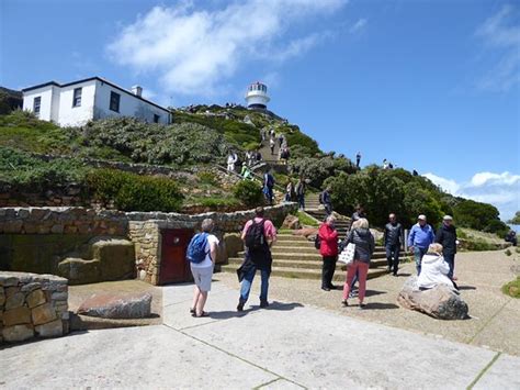 CAPE POINT NATURE RESERVE - entrance fee a total disgrace. - Reviews ...